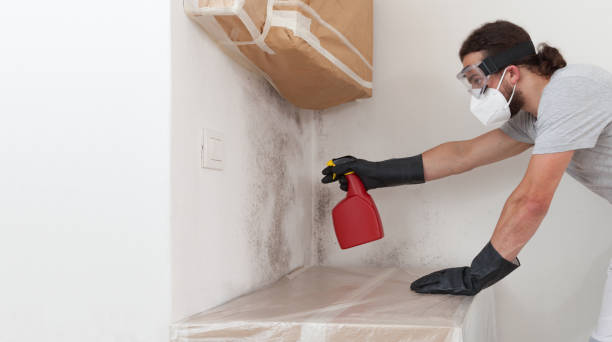 Professional Bathroom Mold Removal technician working in West Orange, TX