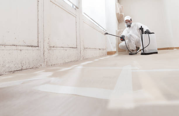 24/7 Emergency Bathroom Mold Removal experts in West Orange, TX