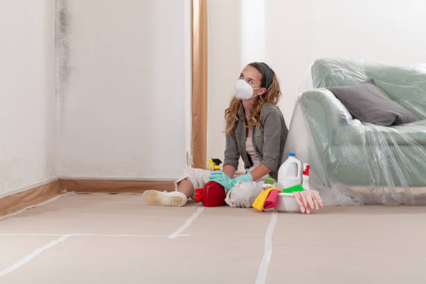 Reliable Bathroom Mold Removal contractor in West Orange, TX by Mold Remediation HQ